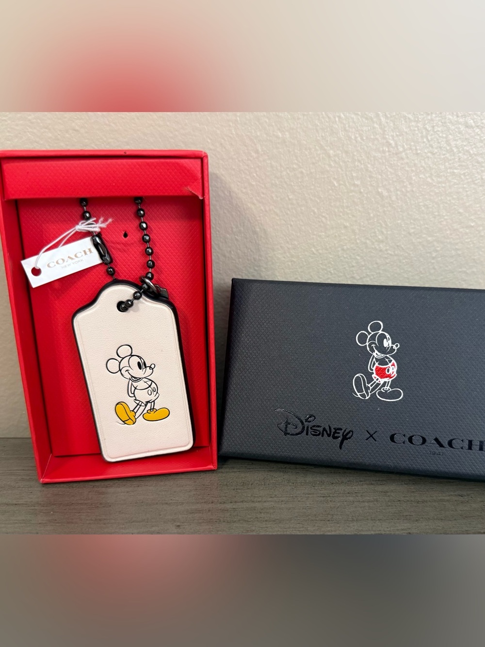 Coach Mickey Mouse Bag